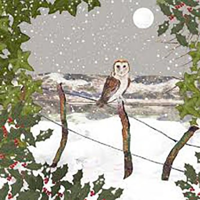 Owl in the snowy hills