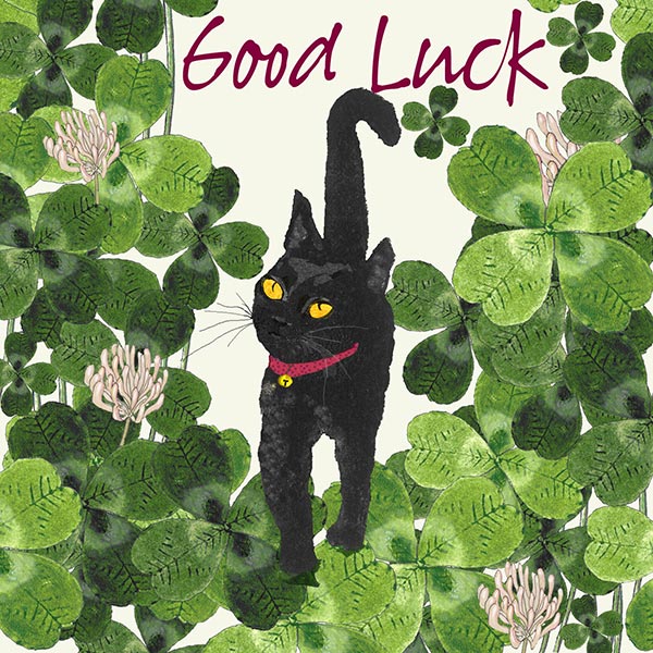Lucky cat in the clover