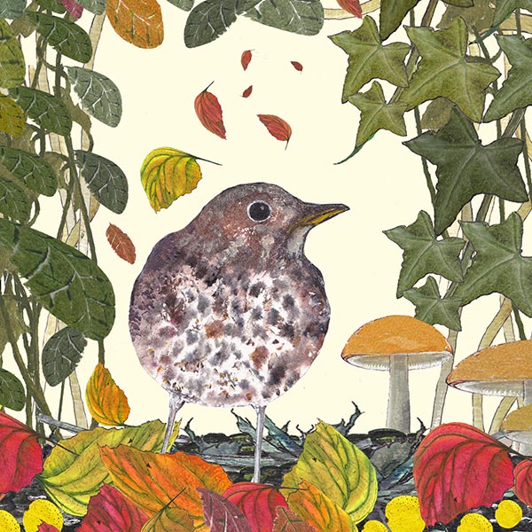 Thrush in the leaves