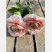 Vintage ranunculus peach