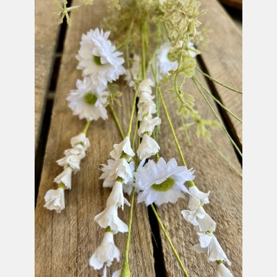 English heath daisy mix white