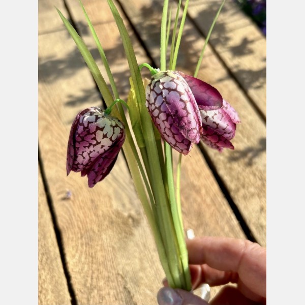 Fritillaria bundle dark pink