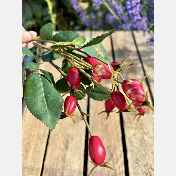 Rosehip spray