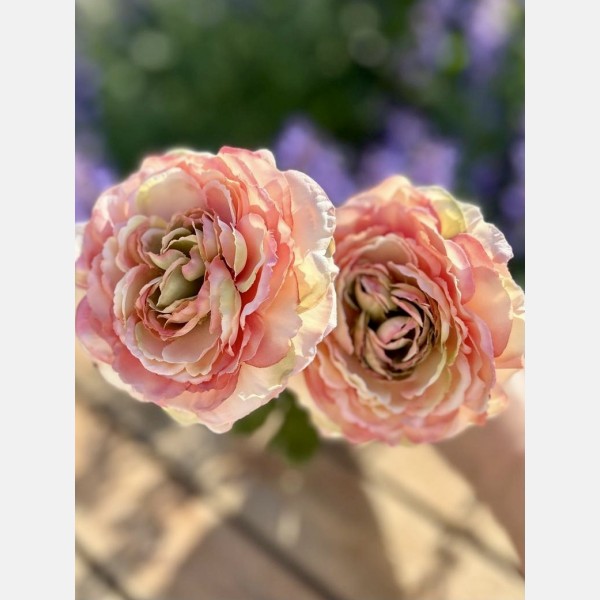 Vintage ranunculus peach