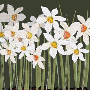 Narcissi