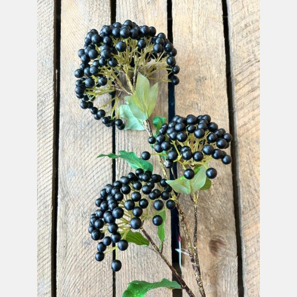 Viburnum berry spray