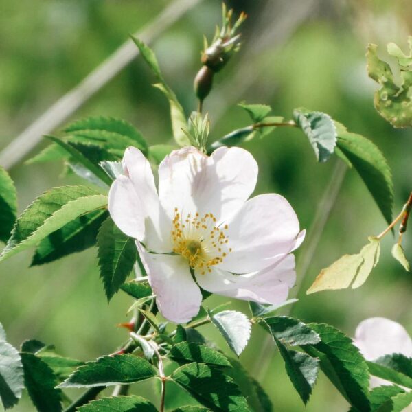 2c04ab5c-5007-4b4d-9d25-849151cf0461 2c04ab5c-5007-4b4d-9d25-849151cf0461