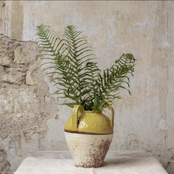 c49eb215-71b9-4054-8318-8d4d3bce93b7